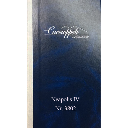 NEAPOLIS IV 3802